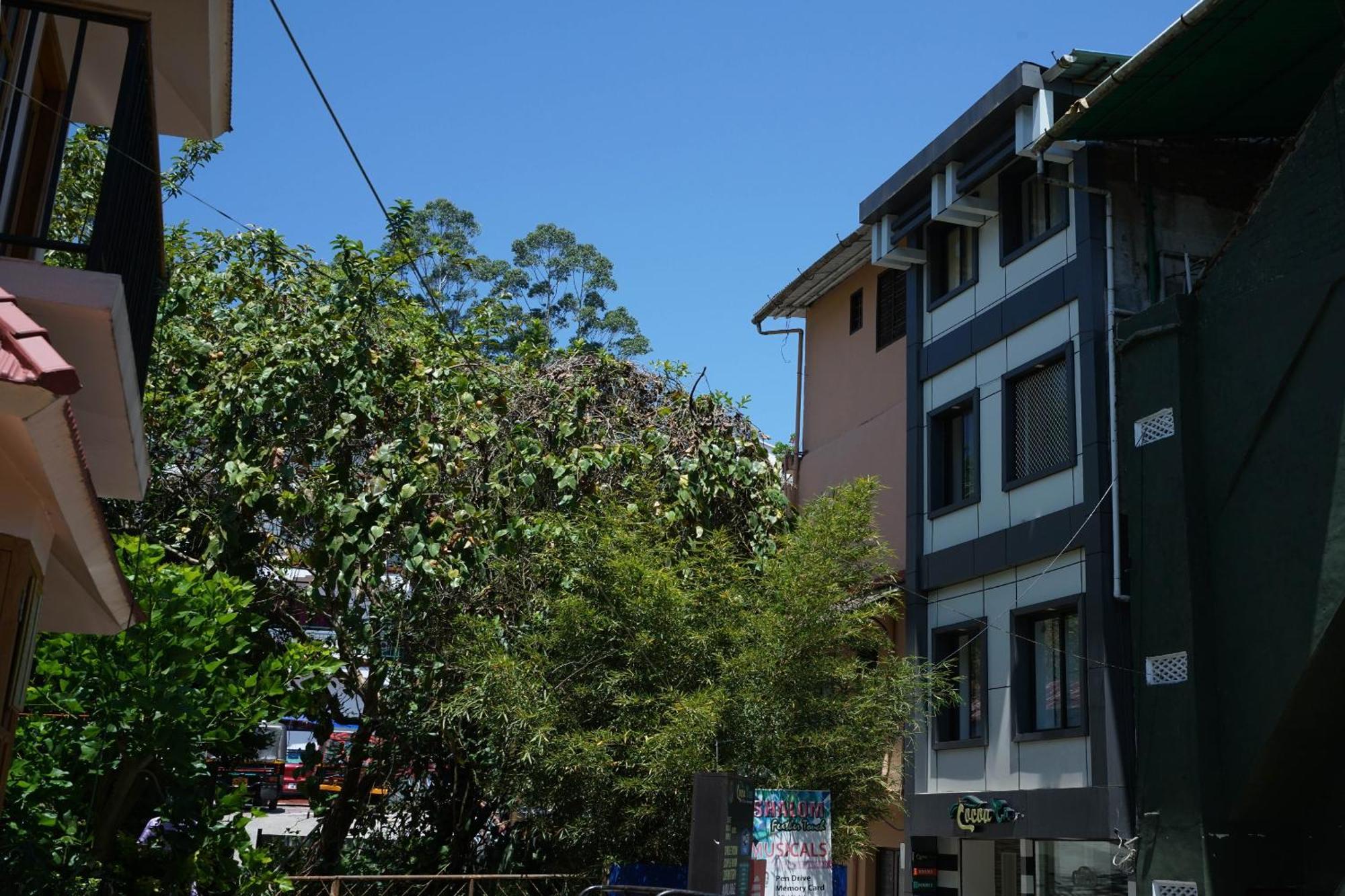 Oyo Hotel Cocoa Tree Munnar Luaran gambar